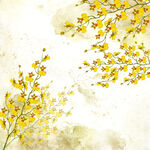 黄色花卉花枝素材