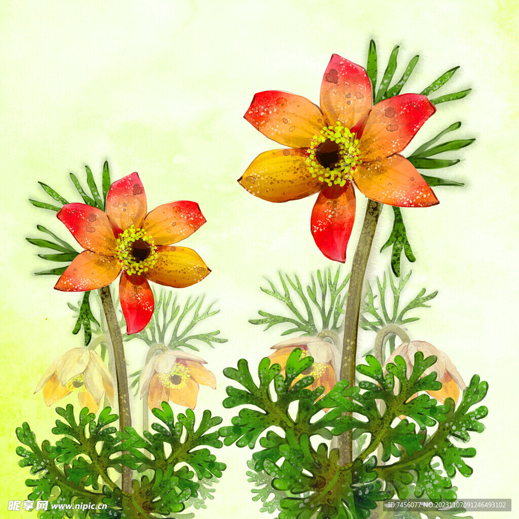 水彩花束植物素材