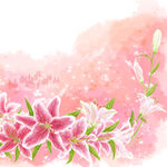 唯美花卉花枝素材