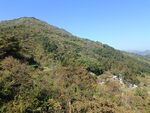 鄂东秋山
