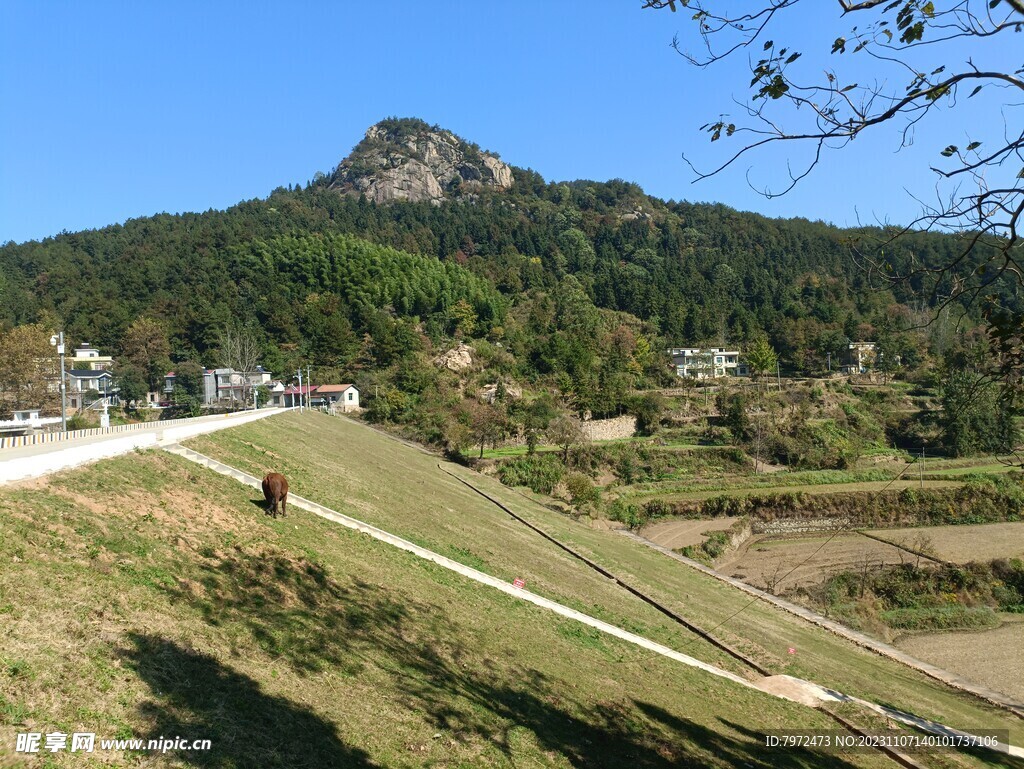 水库堤坝