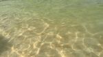 波涛 海水 波纹