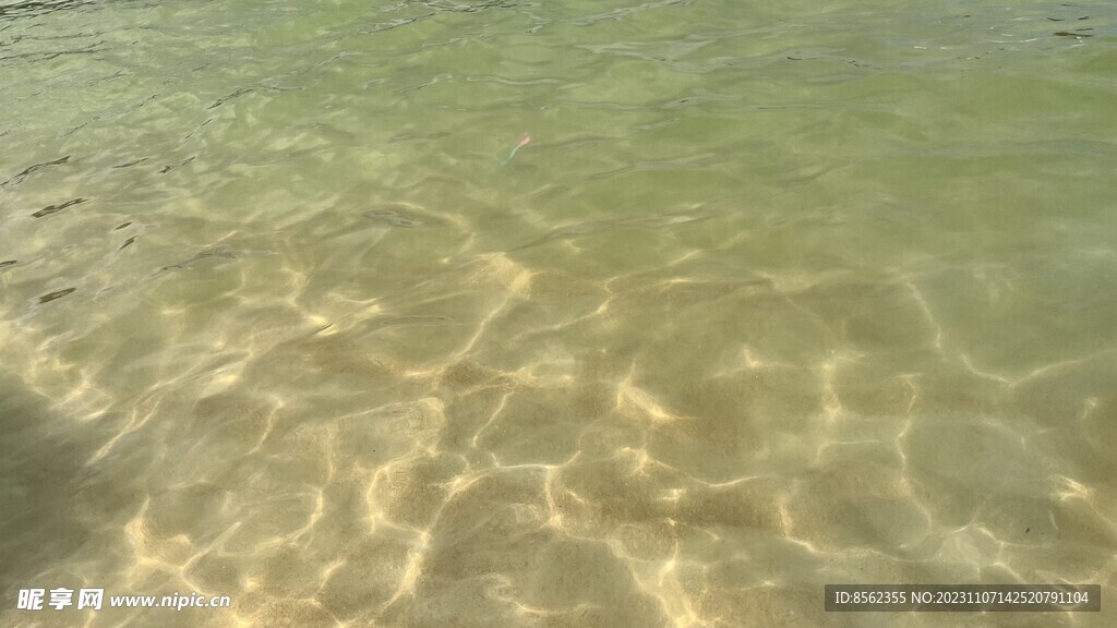 波涛 海水 波纹
