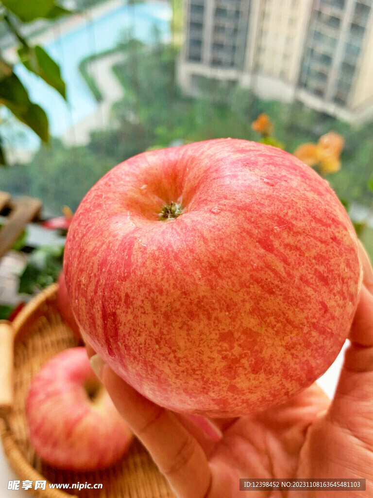 苹果