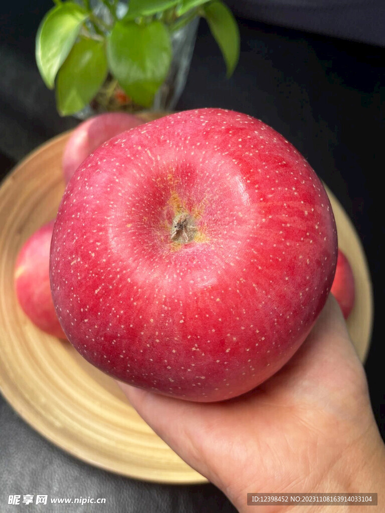 苹果