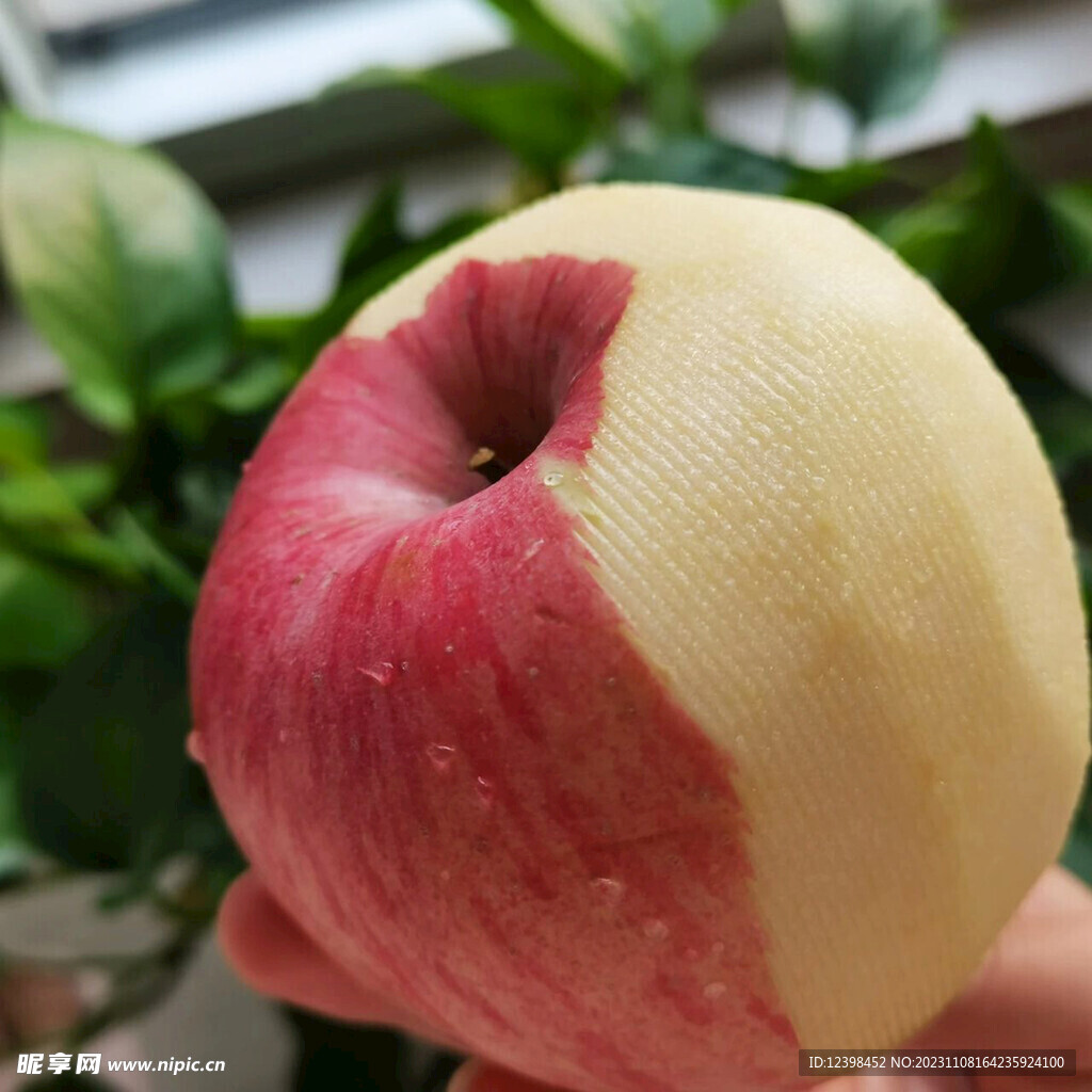 苹果