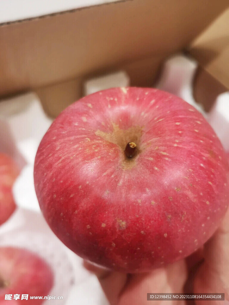 苹果