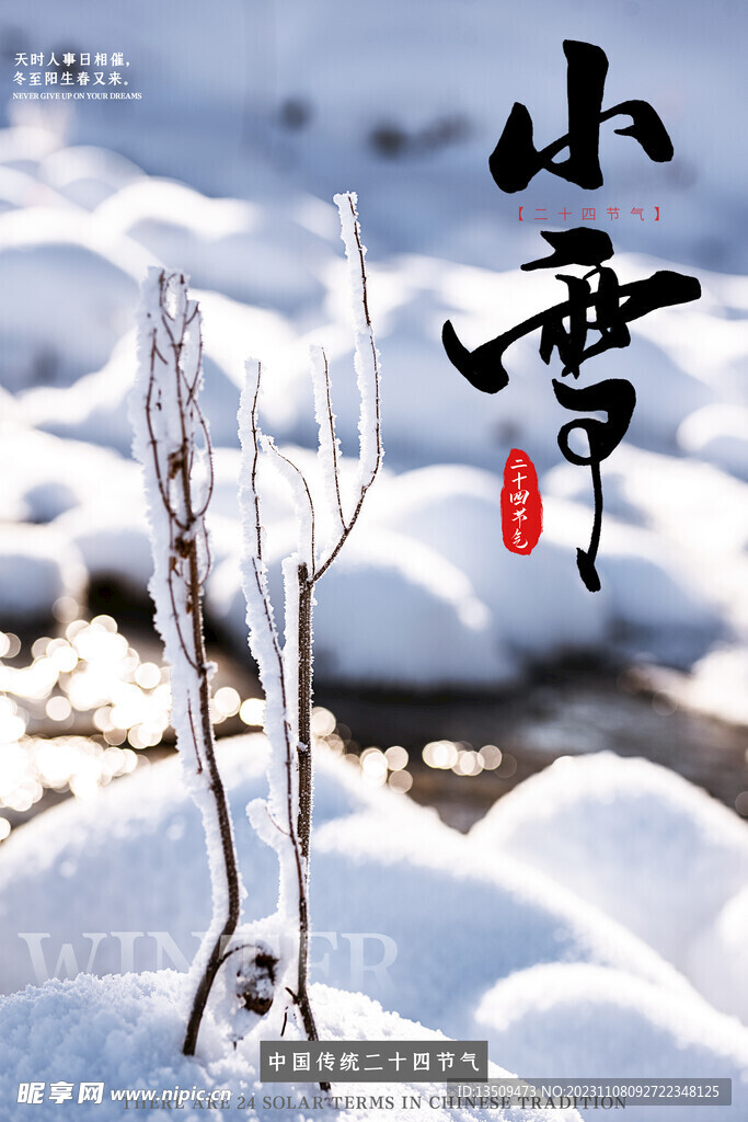 小雪 雪景