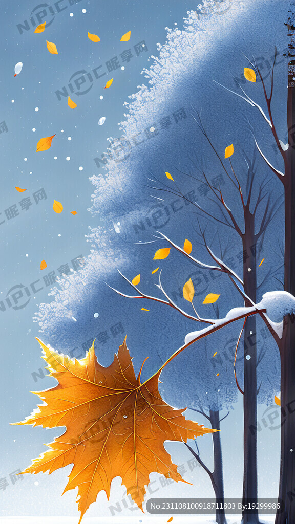 立冬 雪花 霜 寒冷 银杏叶