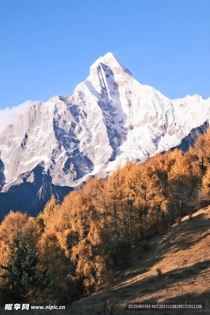 大雪山