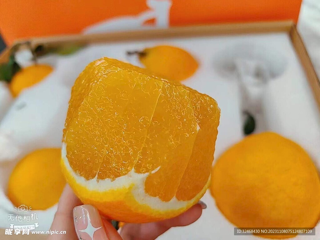 脐橙