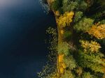 航拍湖边树林风景