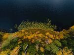 航拍湖边树林风景