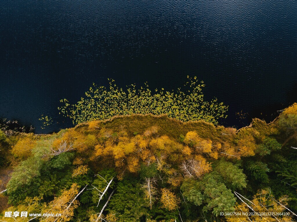 航拍湖边树林风景