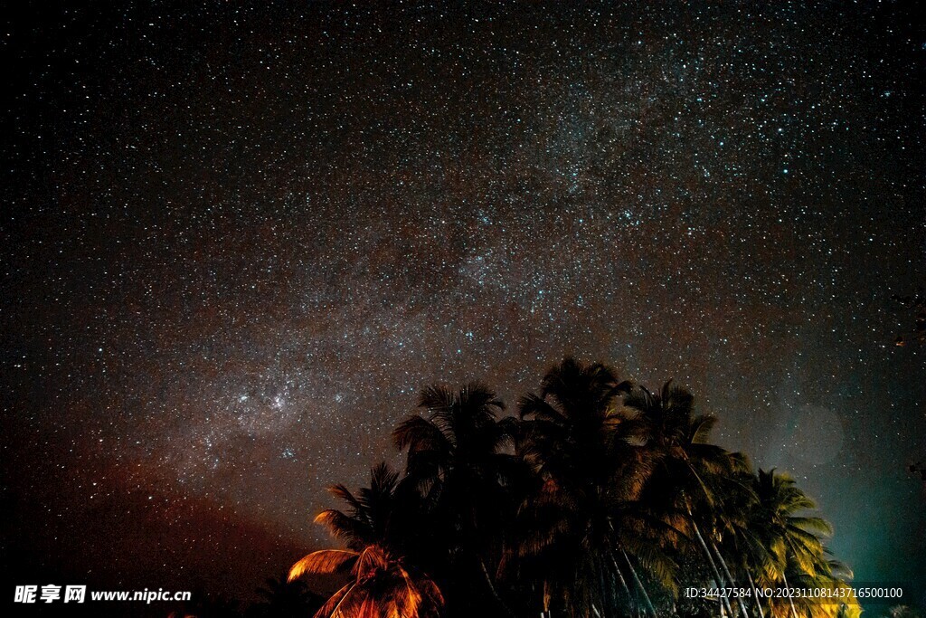 星空和椰子树