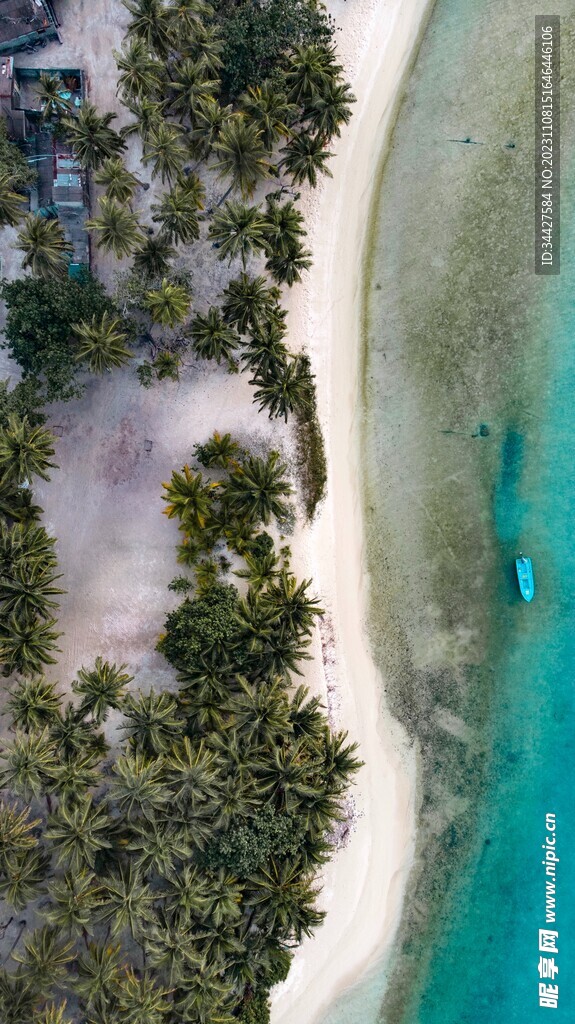 航拍海滩和椰子树