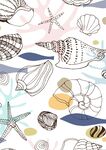 海洋壳类生物
