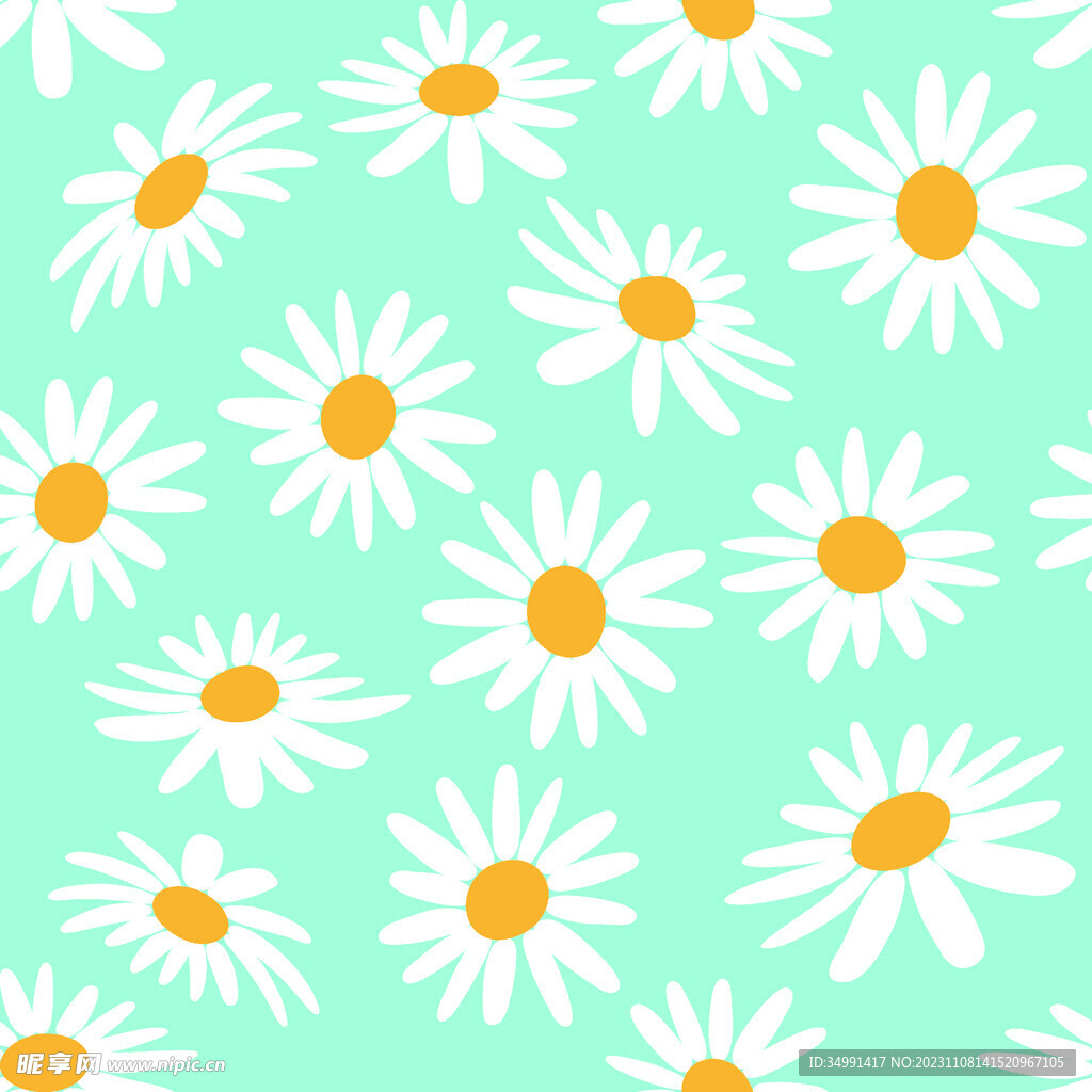 太阳花