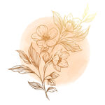 线描花卉花