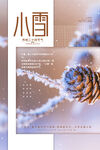 小雪