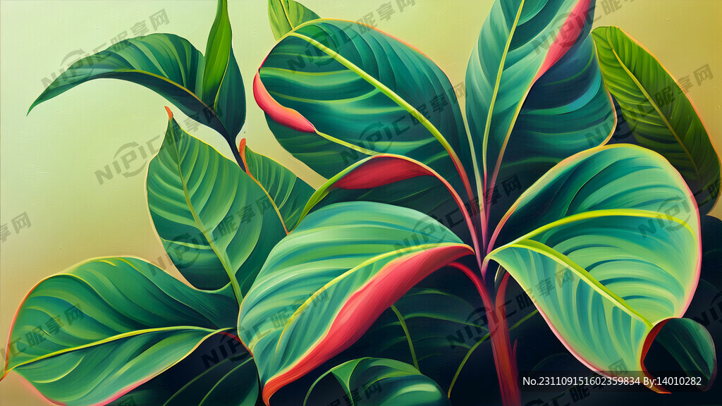 油画 热带植物 芭蕉叶