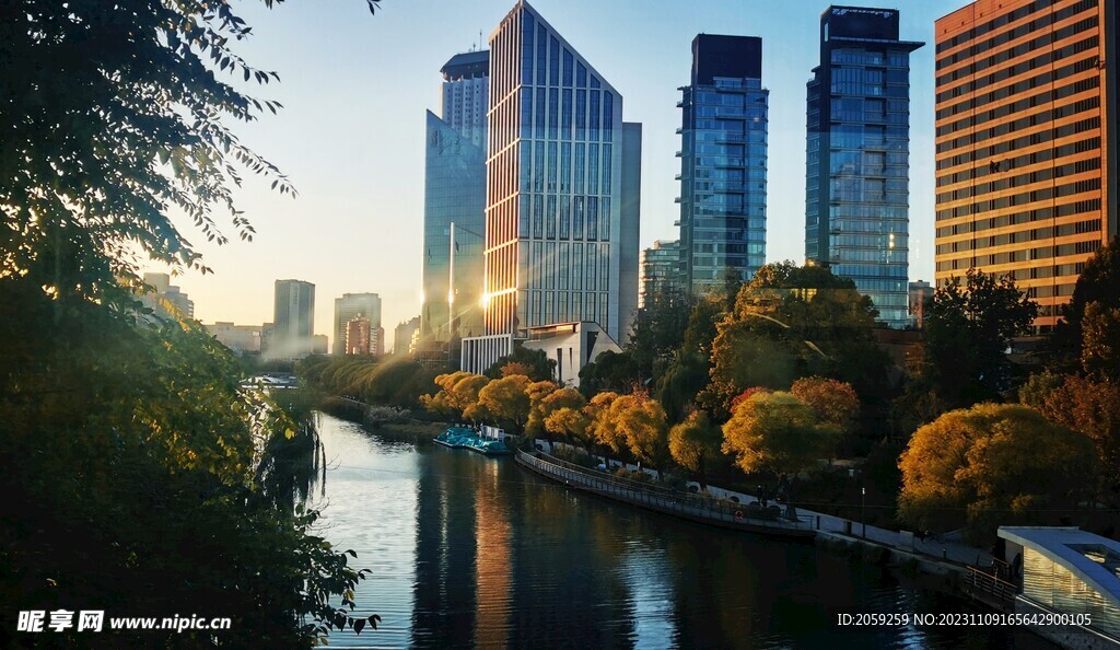 城市之光 