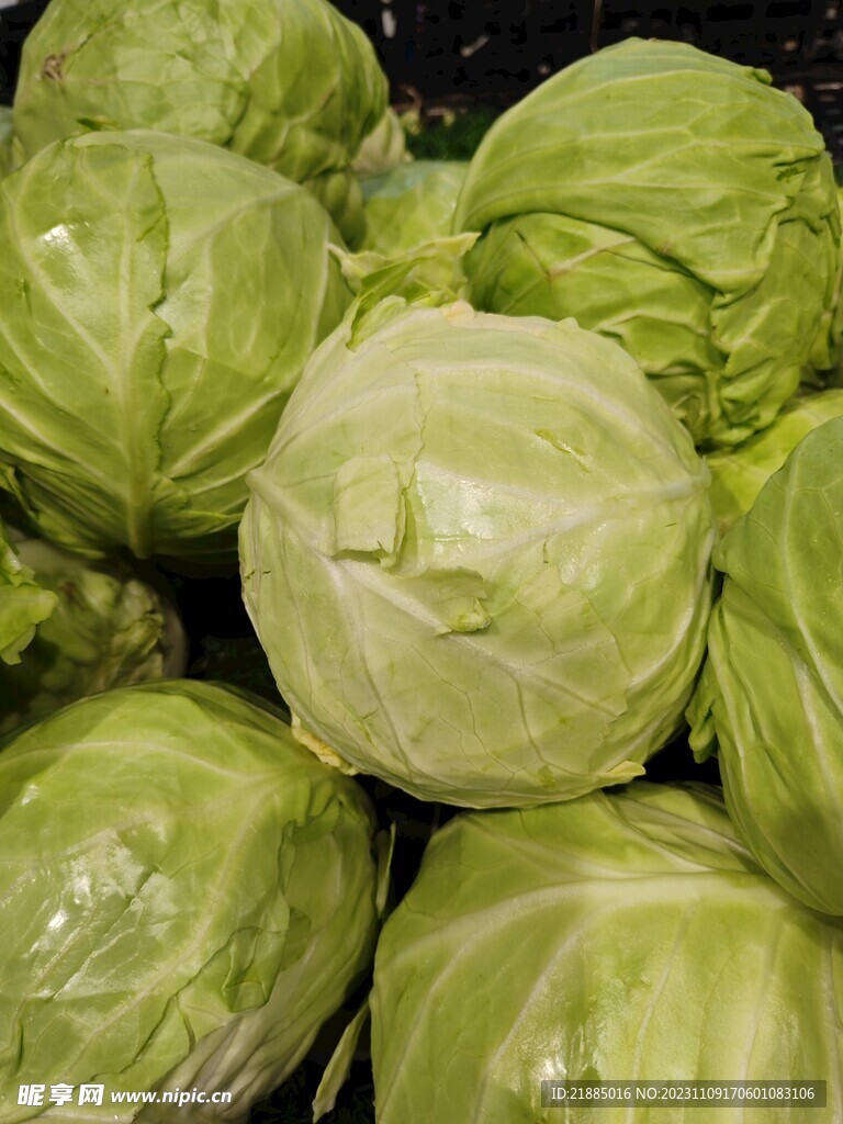 包菜