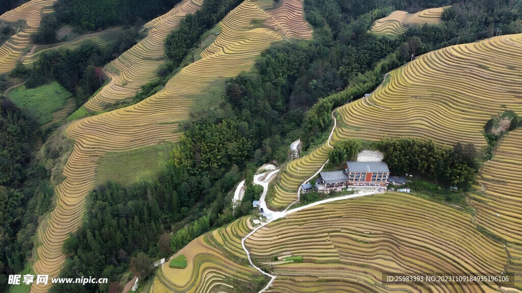 梯田