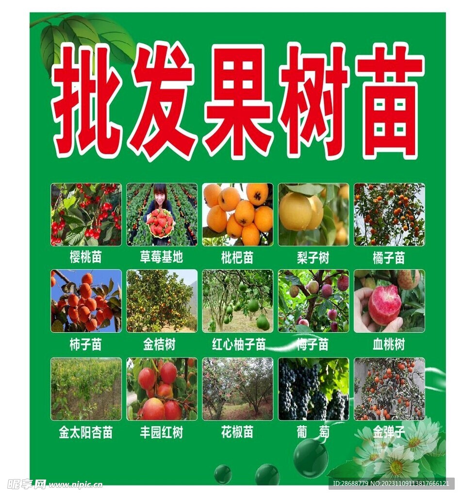 批发果树苗
