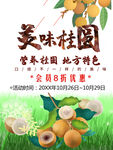 美味桂圆
