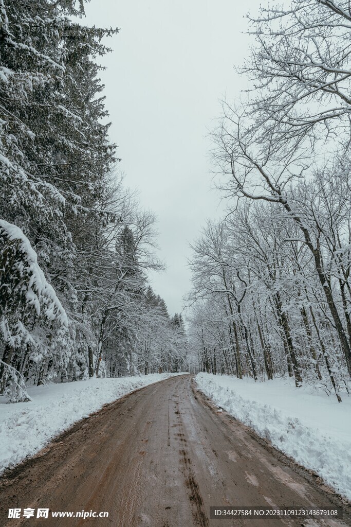 大雪覆盖的林中道路