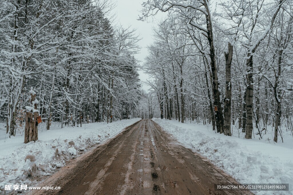 大雪覆盖的林中道路