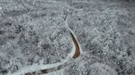 航拍雪林中道路