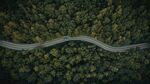 航拍林间道路