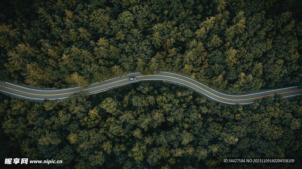 航拍林间道路