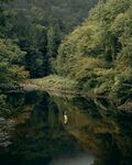 山林湖中的垂釣人