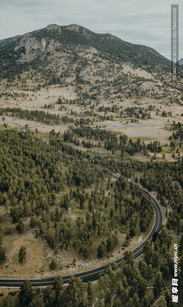 林间山路