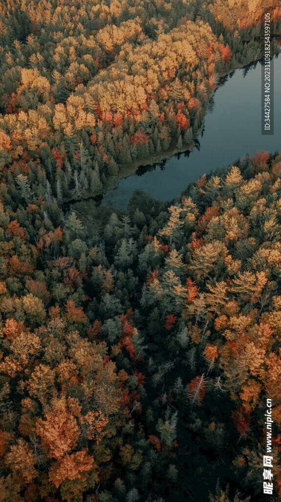 航拍秋林湖景