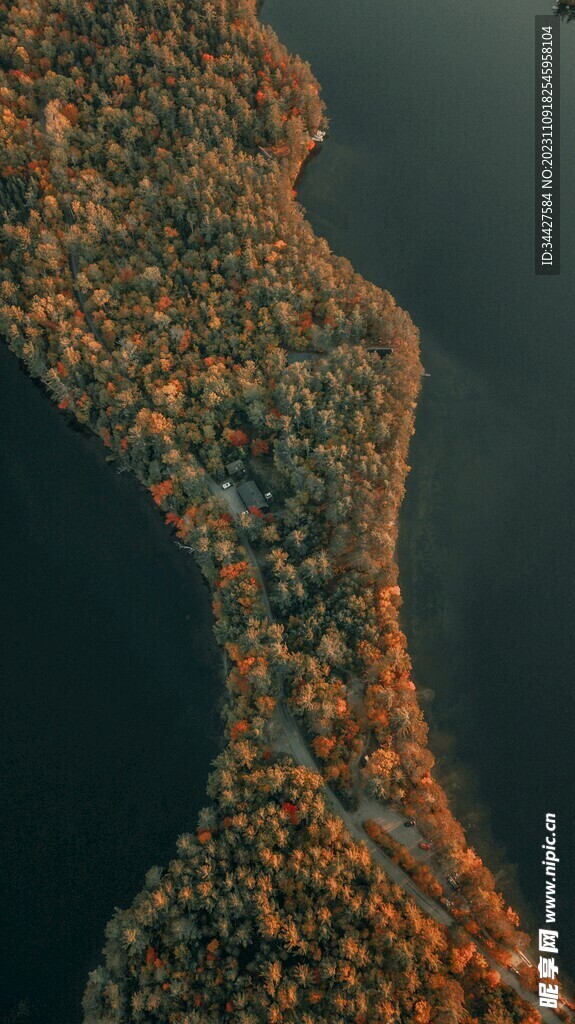 航拍秋林湖景