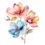 花 