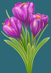 花 