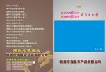   走亲访友 