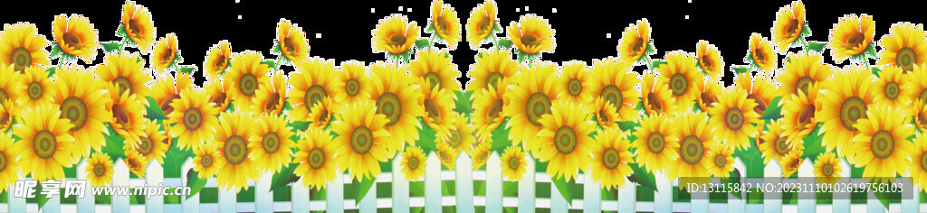太阳花
