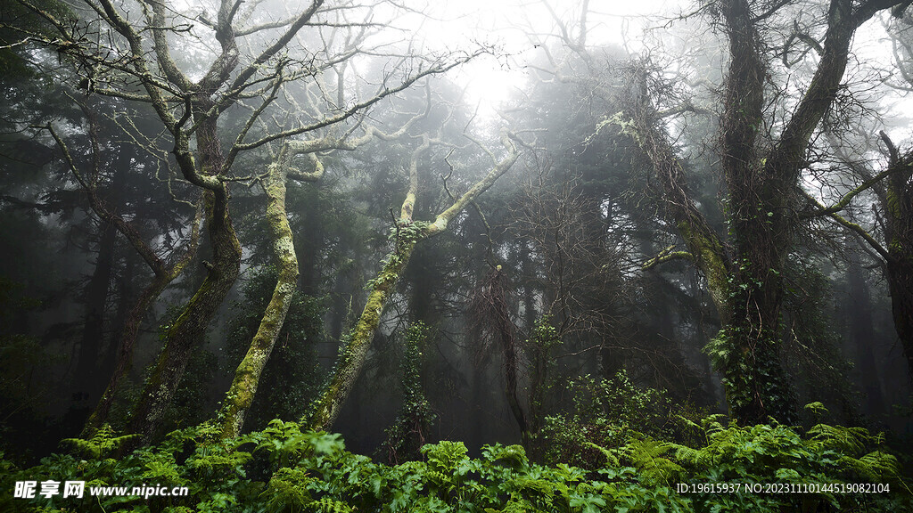 自然风光 山水风光 自然风景 