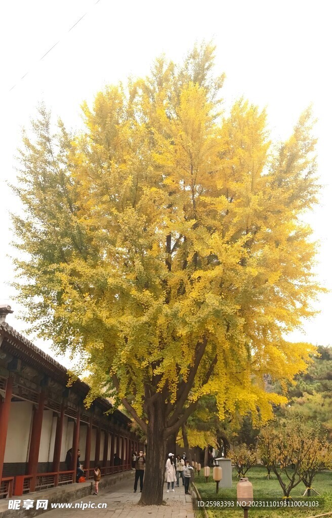 古建筑