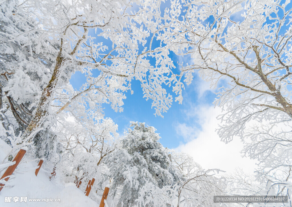 雪乡