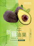 新鲜牛油果