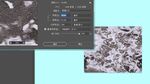 扎染花 