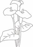 花朵线稿 矢量线稿