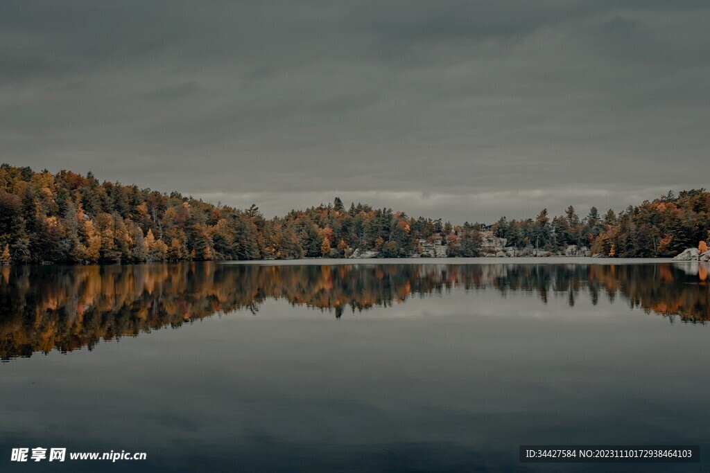 湖边秋林风景